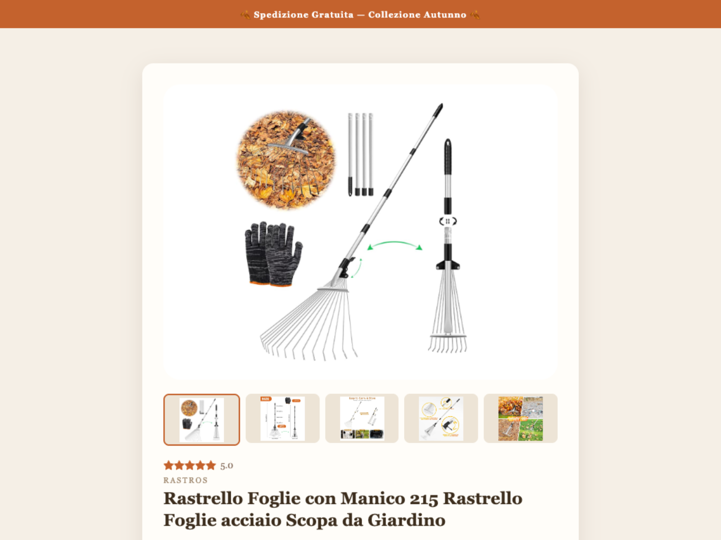 Template eBay Autunno