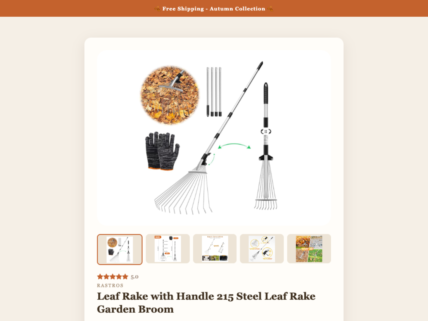 eBay Template Autumn