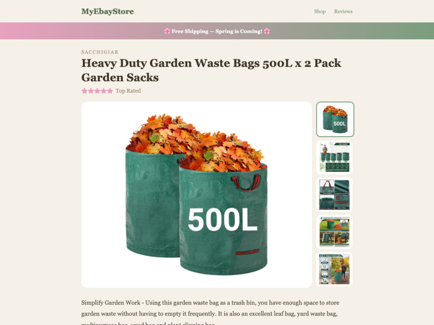 eBay Template Spring