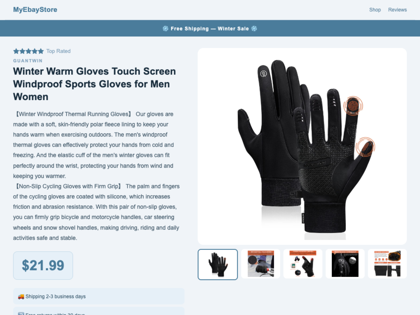 eBay Template Winter